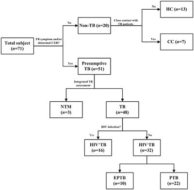 Proteinase K-pretreated ConA-based ELISA assay: a novel urine LAM detection strategy for TB diagnosis